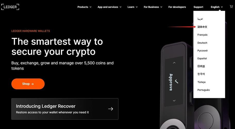 ledger怎么买进来中国:ledger wallet如何购买