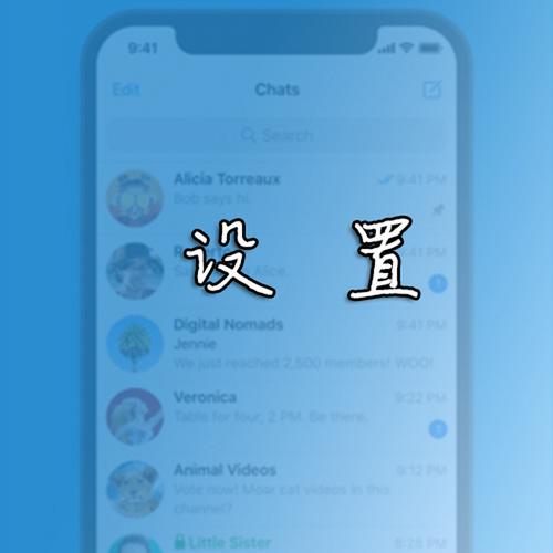 纸飞机怎么在网页使用:纸飞机app在国内怎么登录
