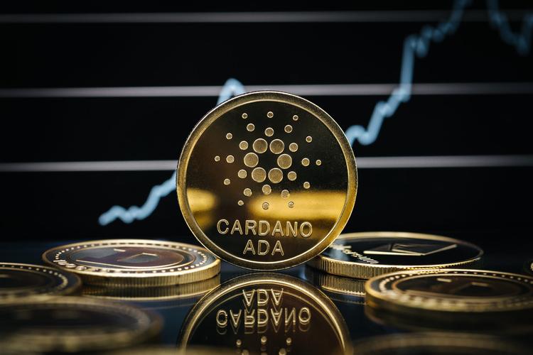卡尔达诺官网消息:卡尔达诺ada最新消息