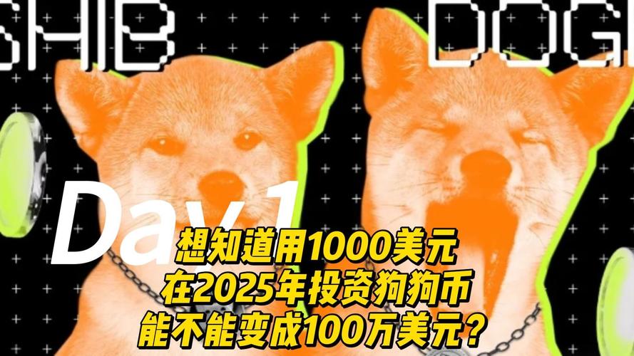 狗狗币2025涨50倍:2025牛市最可能爆发的币