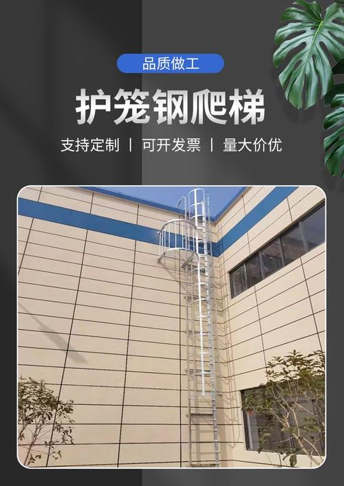 爬梯子是什么意思:梦到爬梯子是什么意思