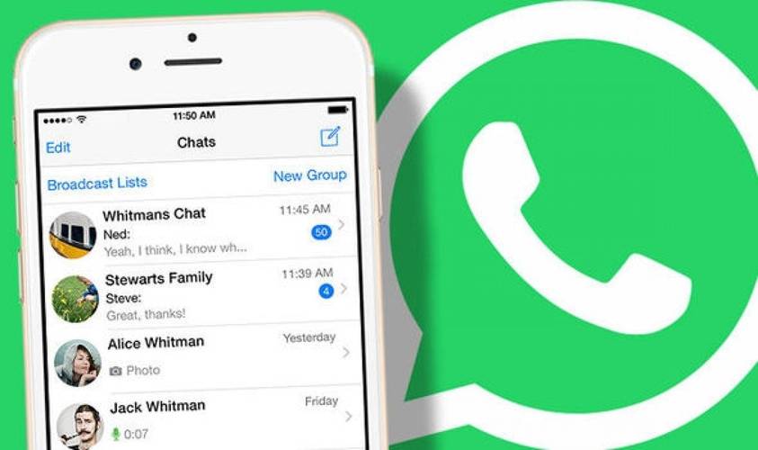 whatsapp哪国软件:whatsapp在哪些国家比较常用