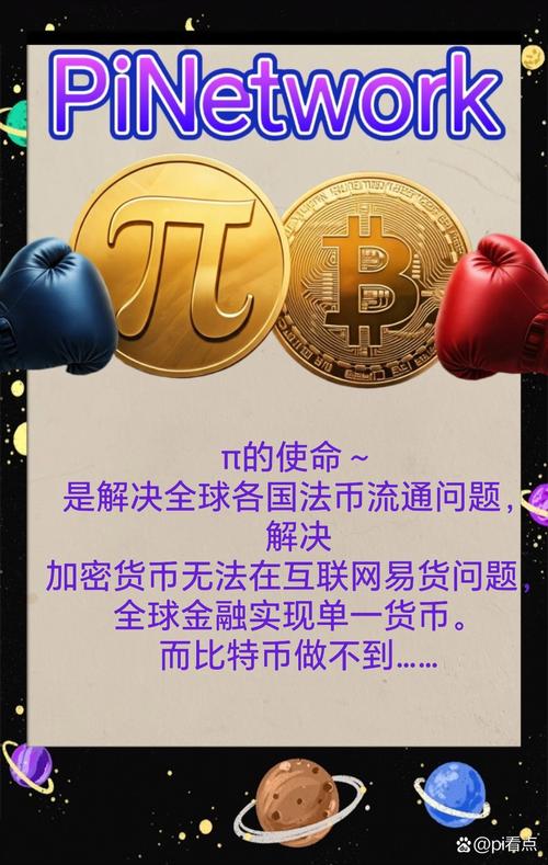 索内纳币:索内戈法网