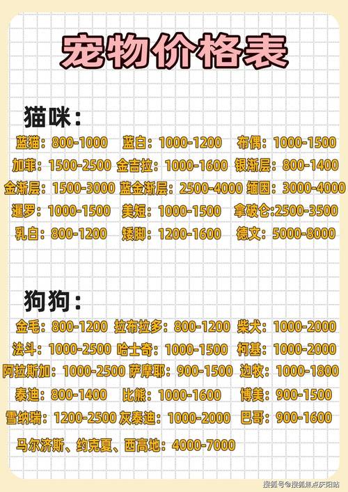 狗狗币今日价格表:狗狗币今天的最新价格