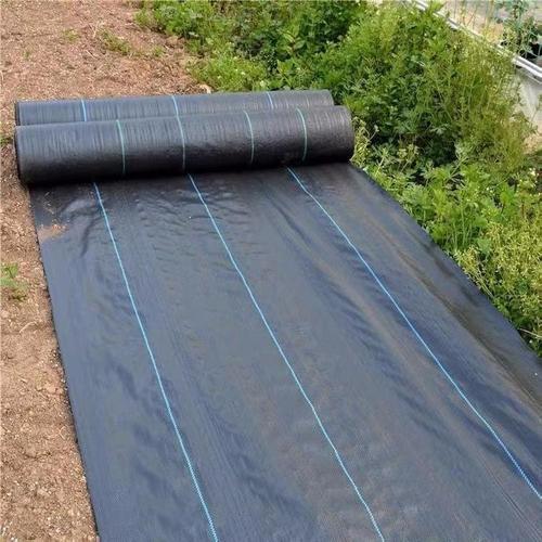 果园防草布多少钱一米价格:果园用防草布好?还是除草布好?