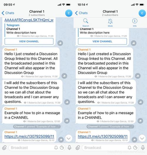 关于telegeram为什么要收费的信息
