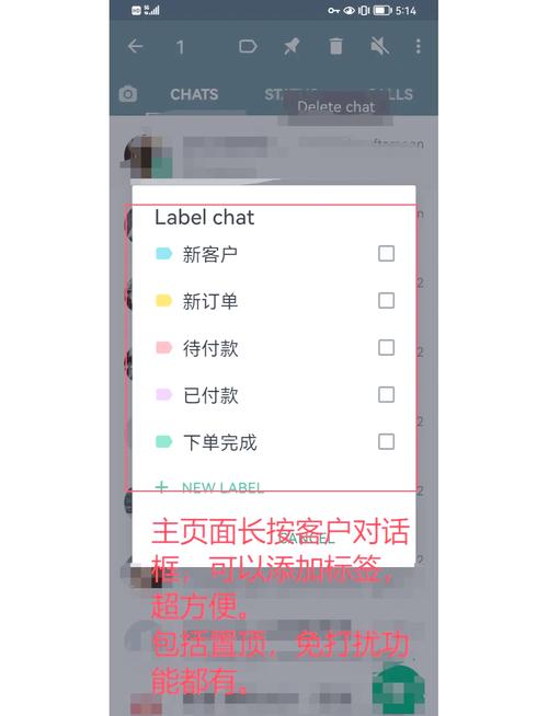 whatsapp国际版最新版:whatsapp国外版本怎么下载