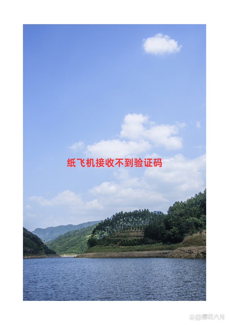 纸飞机安卓:纸飞机安卓手机收不到验证码