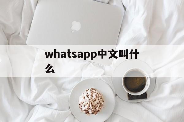 whatsapp中文叫什么,whatsapp中文叫什么软件