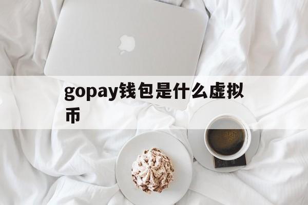 gopay钱包是什么虚拟币,gopay钱包app下载官网