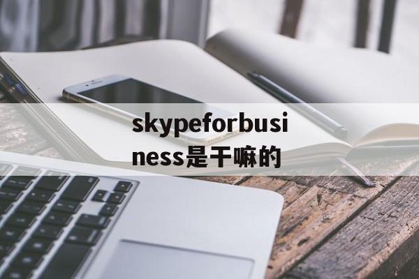 skypeforbusiness是干嘛的,skypeforbusiness2016是什么