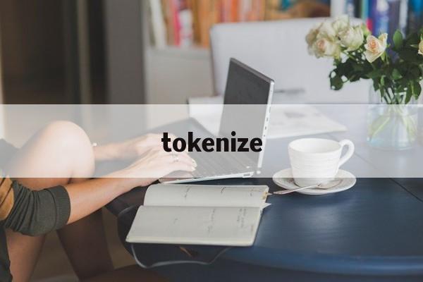 tokenize,Tokenizer的意思是