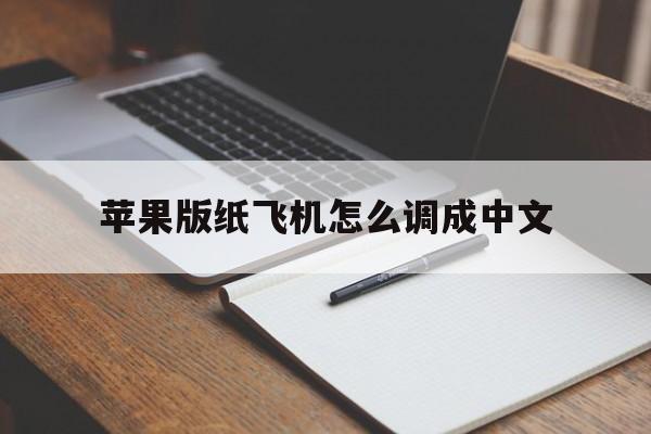 苹果版纸飞机怎么调成中文,苹果纸飞机怎么调成中文模式