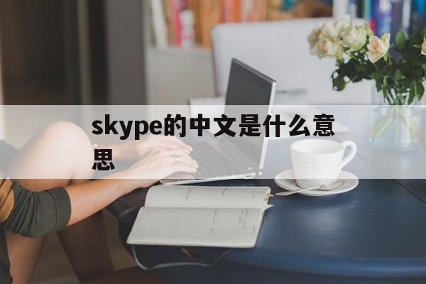 skype的中文是什么意思,skypephone的汉语意思