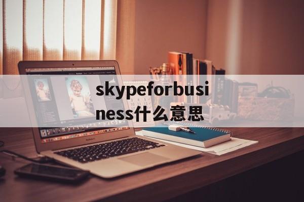 skypeforbusiness什么意思,skype for business是干什么的