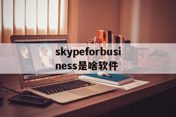 skypeforbusiness是啥软件,skype for business干什么用