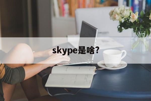 skype是啥?,skype是什么意思软件