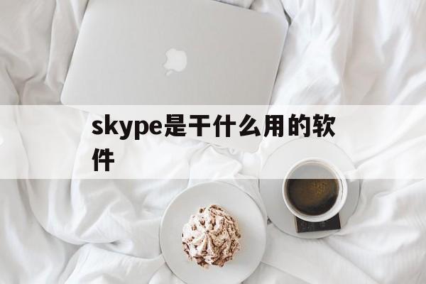skype是干什么用的软件,skype是什么东西可以卸载吗