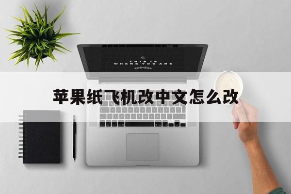 苹果纸飞机改中文怎么改,苹果纸飞机怎么设置中文版教程