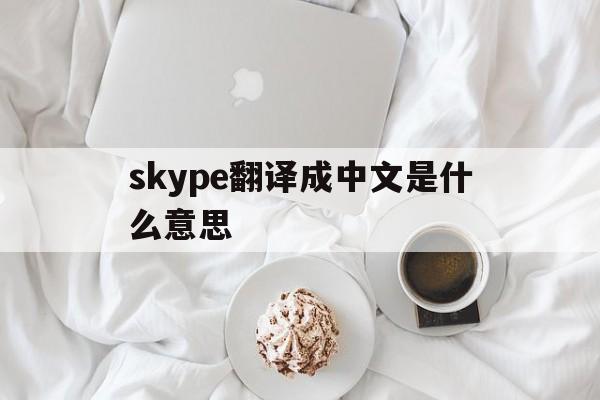 skype翻译成中文是什么意思,skype翻译成中文是什么意思啊