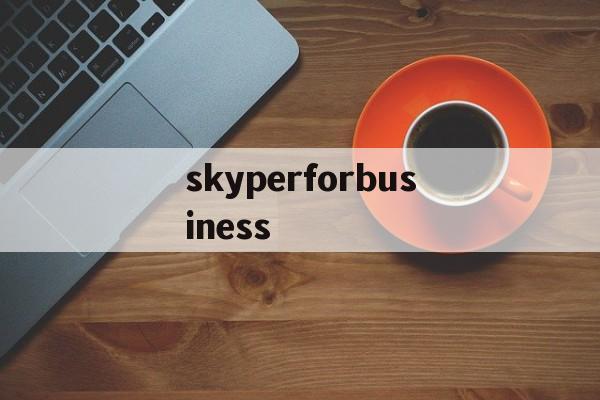 skyperforbusiness的简单介绍