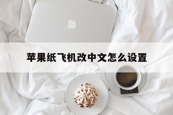 苹果纸飞机改中文怎么设置,苹果纸飞机改中文怎么设置的