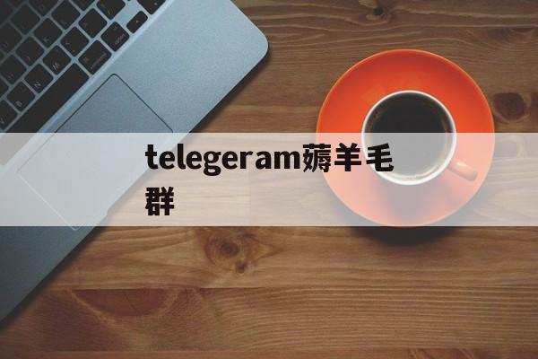 telegeram薅羊毛群的简单介绍