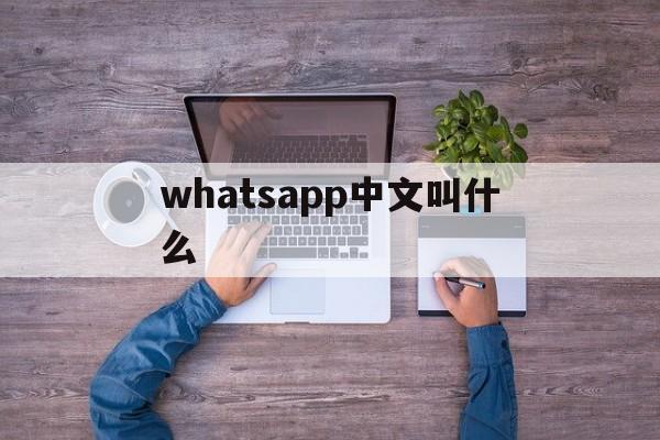 whatsapp中文叫什么,whatsapp中文叫什么中国境内有哪些社交软件可以用