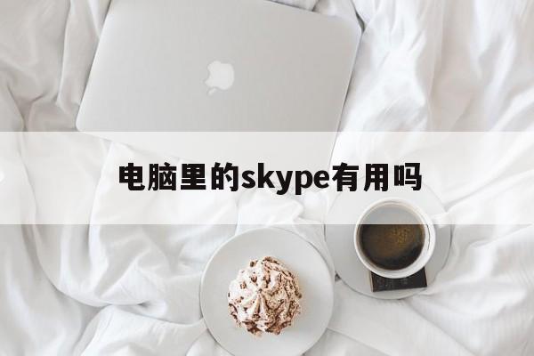 电脑里的skype有用吗,电脑上的skype是什么,可以卸载吗