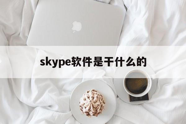 skype软件是干什么的,skype是什么软件 怎么使用