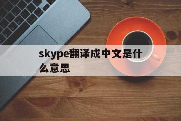 skype翻译成中文是什么意思,skype翻译成中文是什么意思呀
