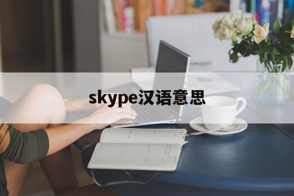 skype汉语意思,skype的汉语是什么