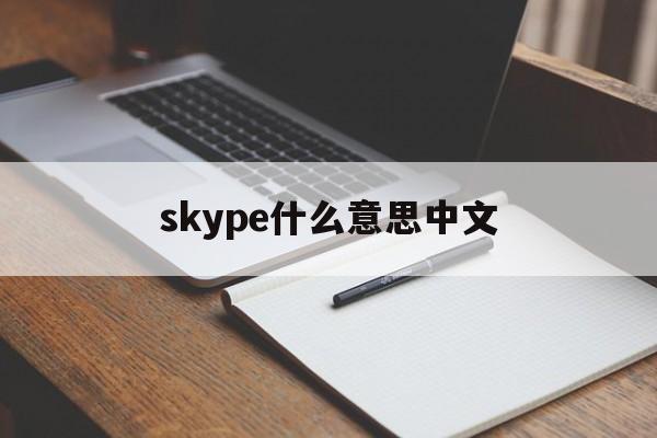 skype什么意思中文,skype是什么意思中文