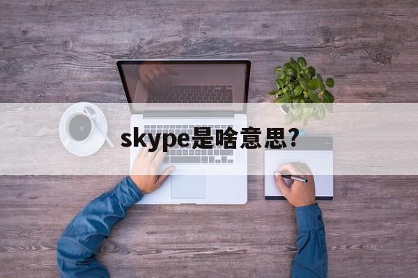 skype是啥意思?,skype是什么意思英文