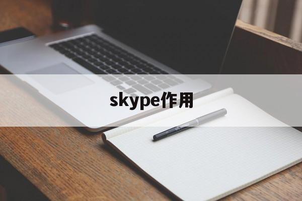 skype作用,skype的主要功能