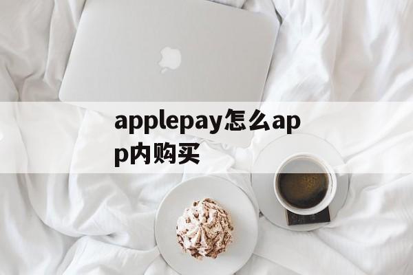 applepay怎么app内购买-苹果商店怎么用applepay支付