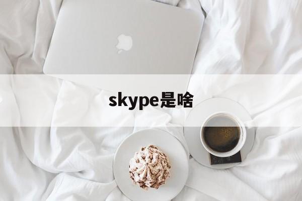 skype是啥-skype是啥意思