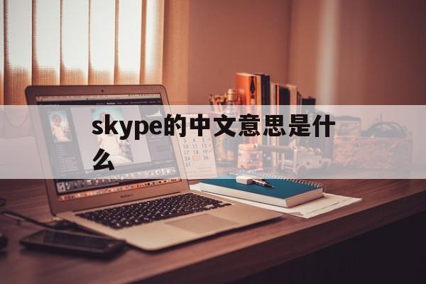 skype的中文意思是什么-skype的中文意思是什么呢