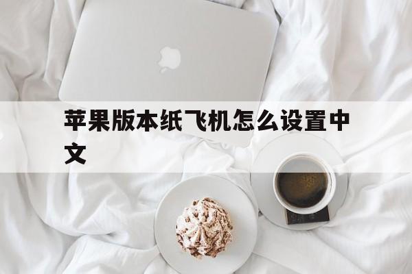 苹果版本纸飞机怎么设置中文-ios纸飞机中文版怎么设置汉化