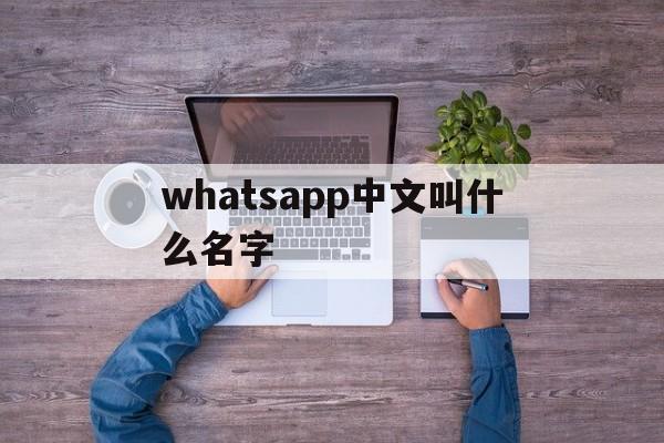 关于whatsapp中文叫什么名字的信息