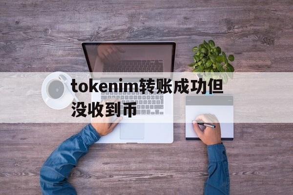 tokenim转账成功但没收到币-tokenpocket钱包转账没成功如何取消