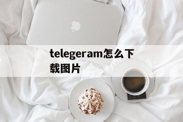 telegeram怎么下载图片-telegeram官网版下载安装