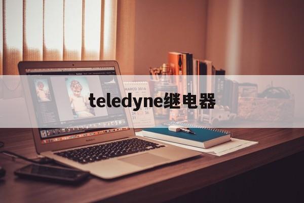 teledyne继电器-安全继电器工作原理及接线