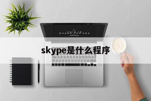 skype是什么程序-skype是什么电脑软件