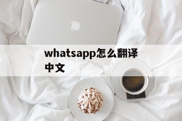 whatsapp怎么翻译中文-whatsapp在里面聊天怎么翻译