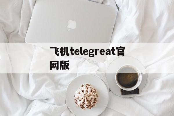 关于飞机telegreat官网版的信息