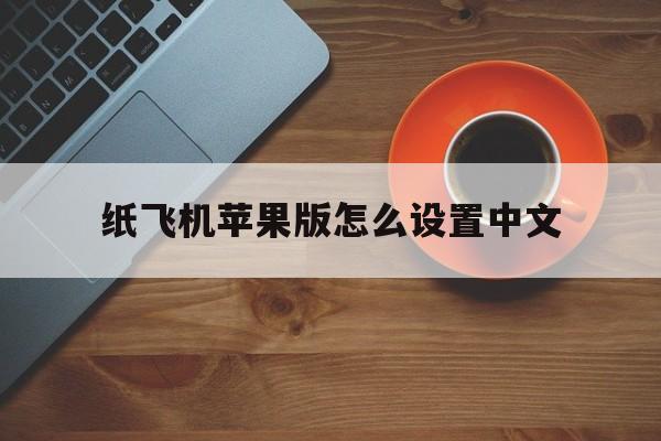 纸飞机苹果版怎么设置中文-iphone纸飞机怎么设置中文