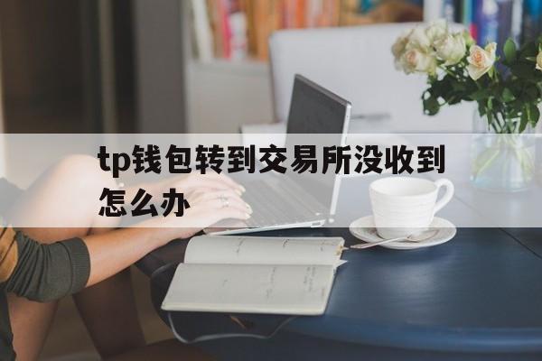 tp钱包转到交易所没收到怎么办-tp钱包被多签了资产还在怎么解决