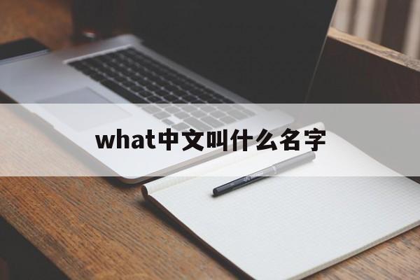 what中文叫什么名字-what中文叫什么名字英文