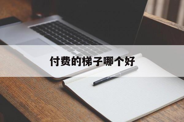 付费的梯子哪个好-付费梯子哪个好用知乎